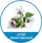алтей