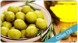 Масло оливы