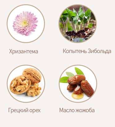 НС5С Комплекс