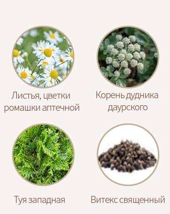 НС5С Комплекс