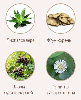 НС5С Комплекс