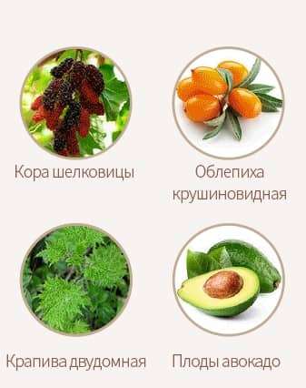 НС5С Комплекс