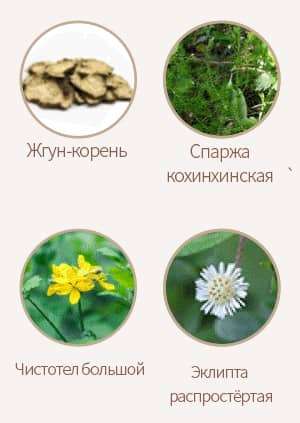 Комплекс Сэнмодан